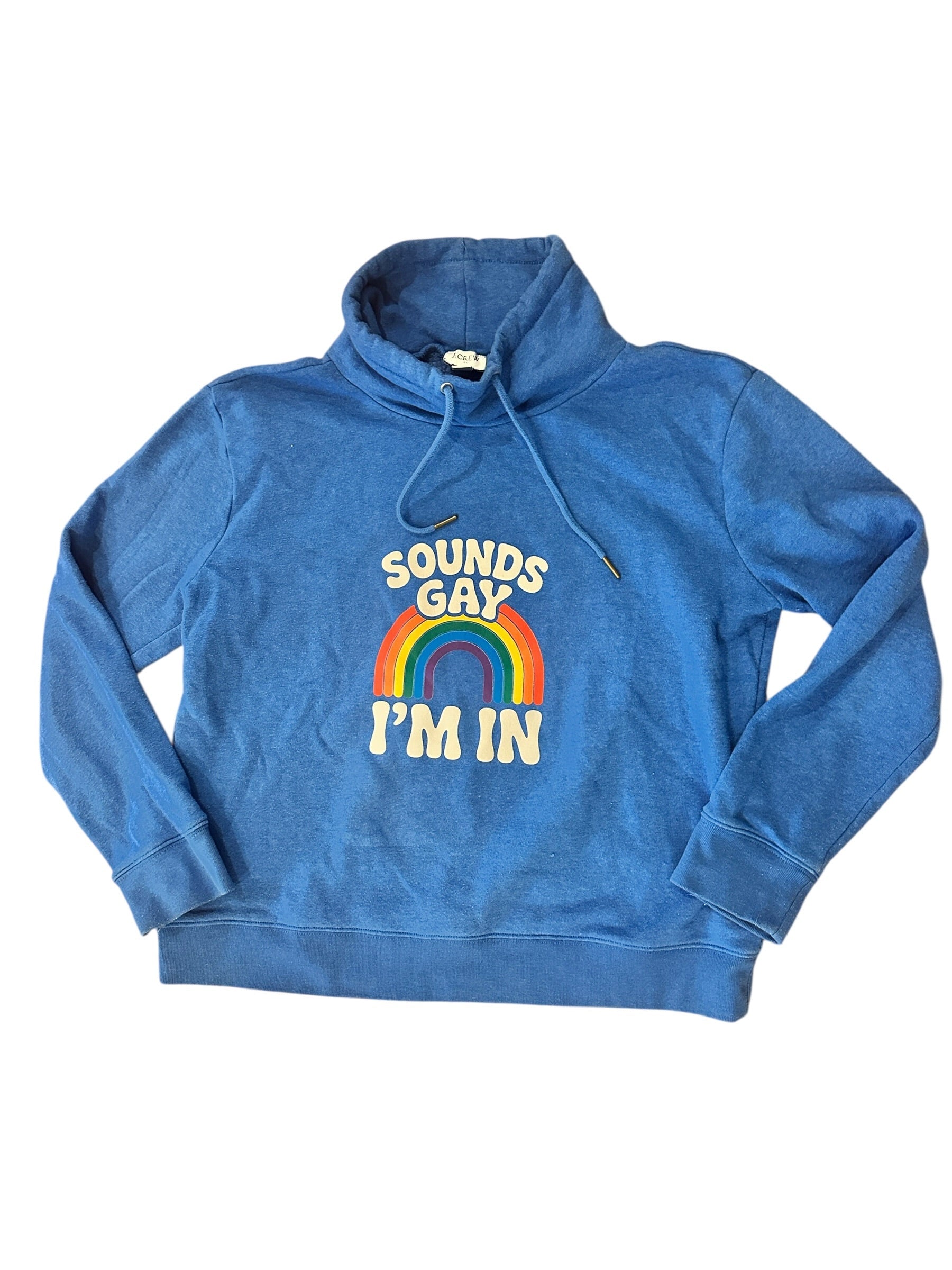 Size Medium - Sounds Gay, I'm in - Sweatshirt - Upcycled