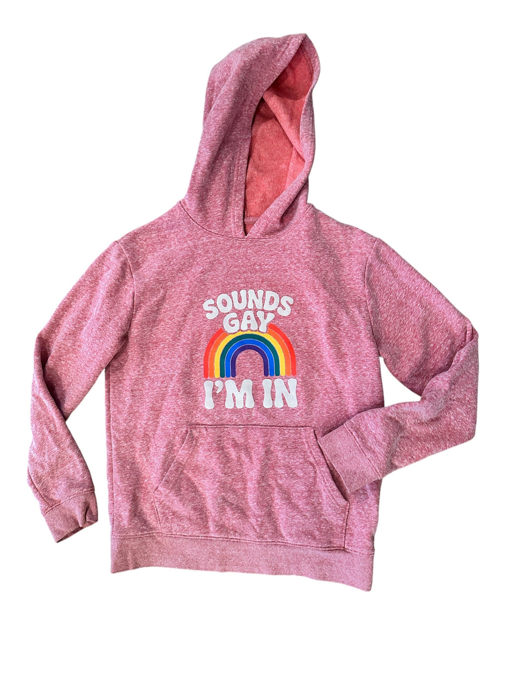 Youth Size 10/12 - Sounds Gay, I'm in - Hoodie - Upcycled