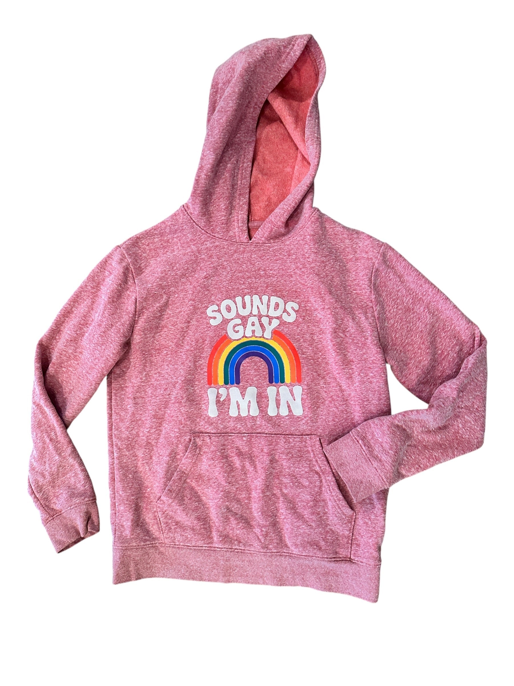Youth Size 10/12 - Sounds Gay, I'm in - Hoodie - Upcycled