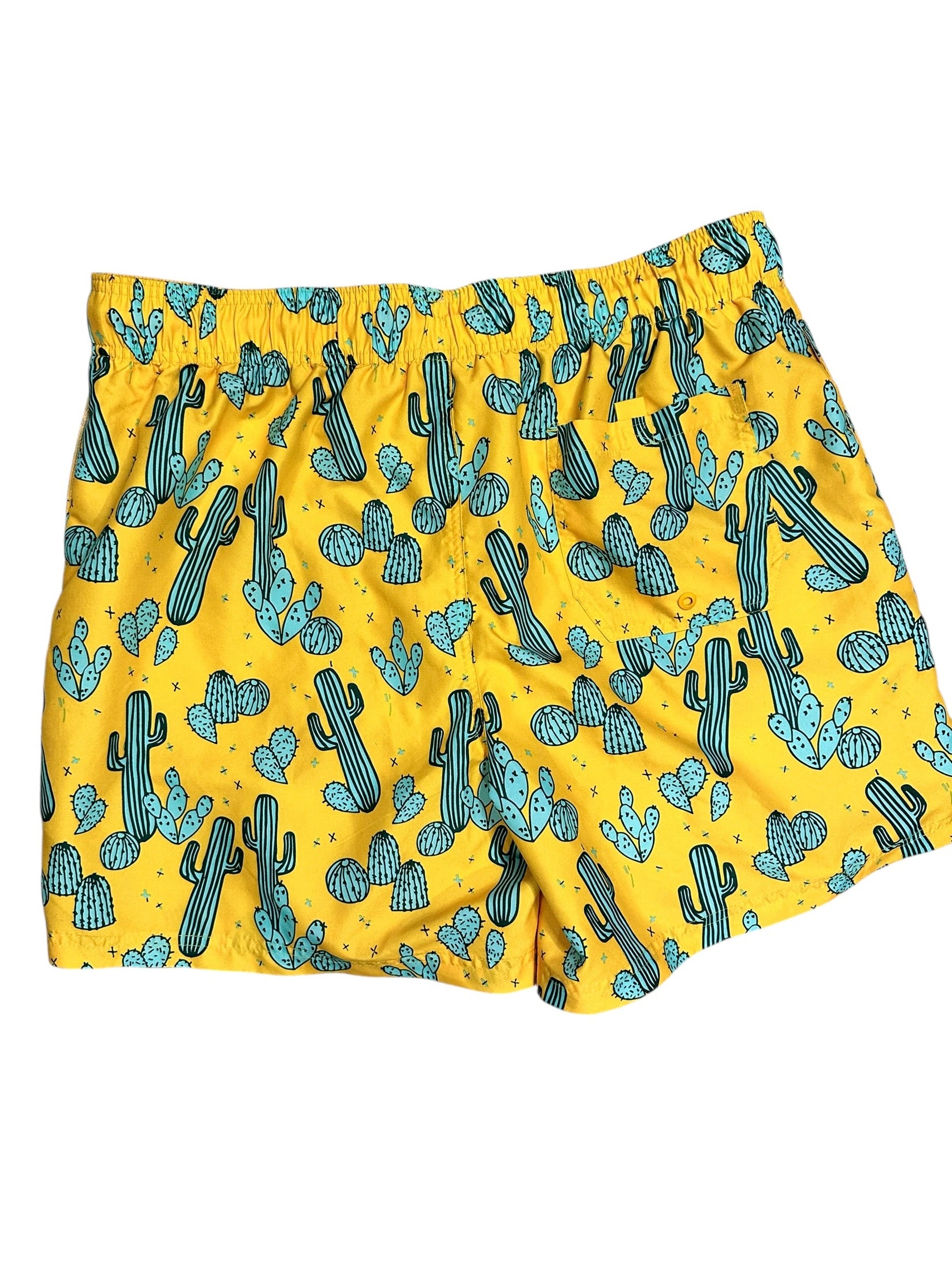 Size Large - George Cactus Swim Trunk